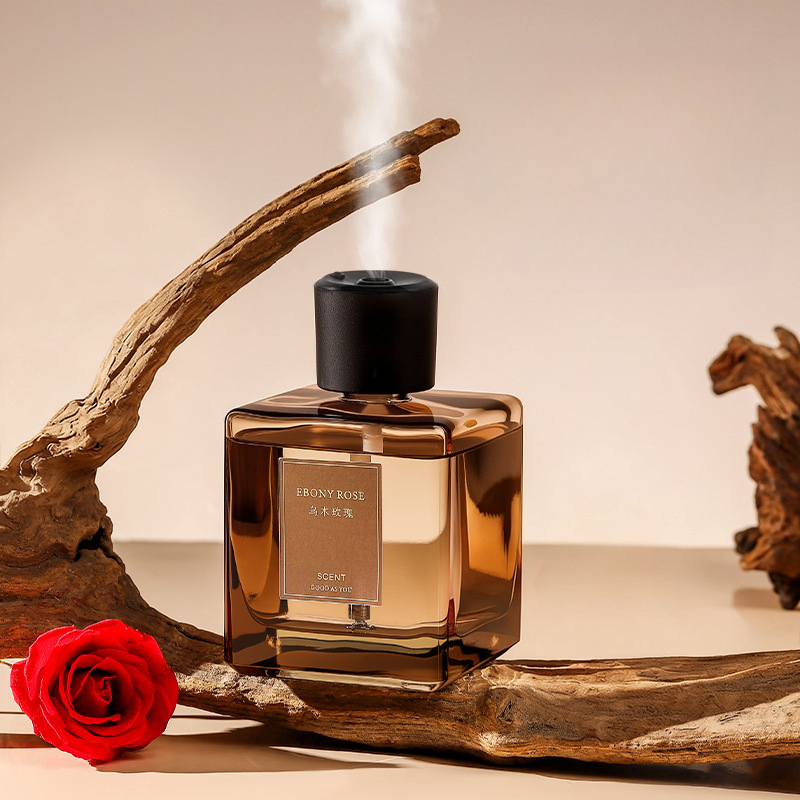 Diffusore di Aromi da 500ml, D - Home Fragrance Elements recensione e prezzo