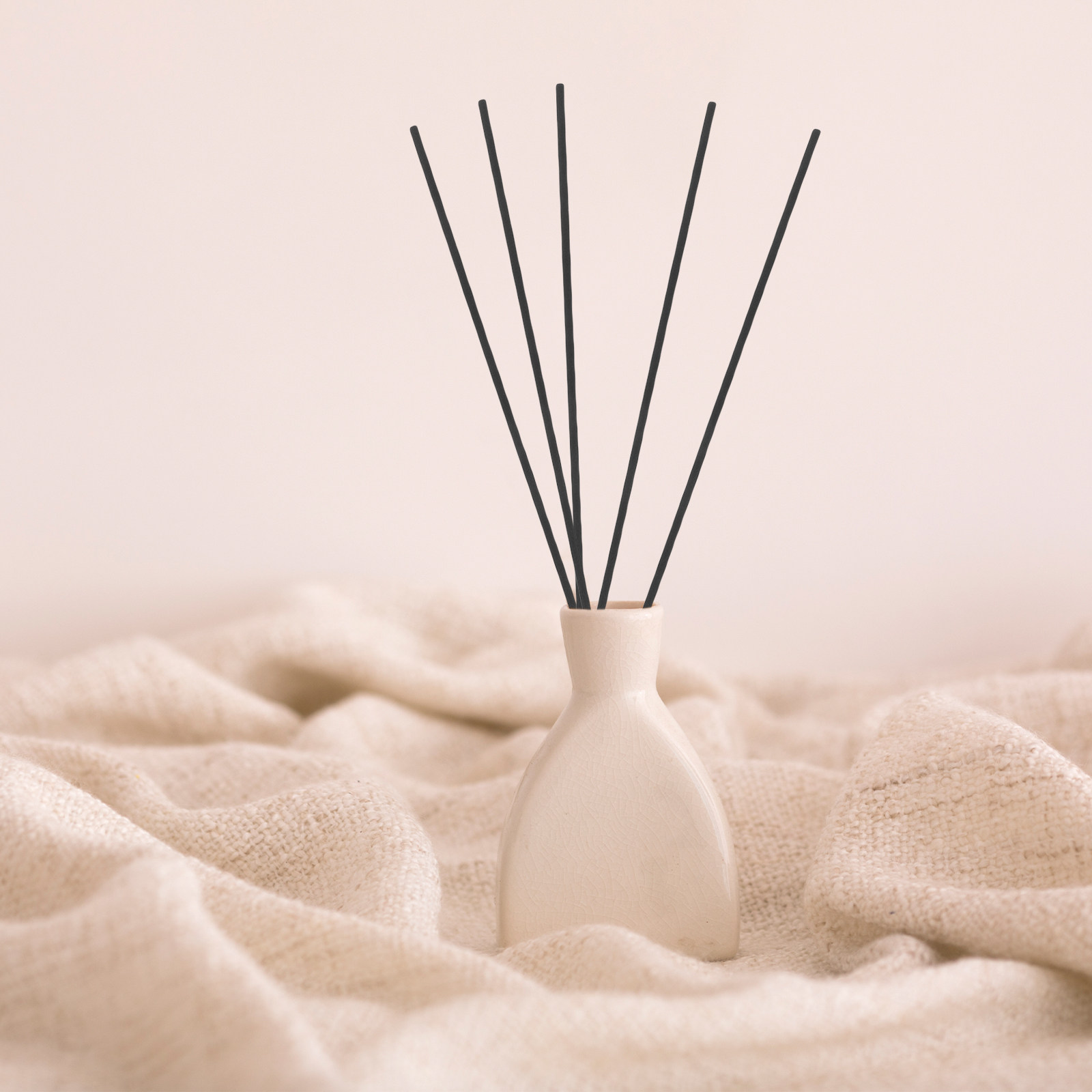 100 Pezzi Bastoncini Diffusori - Fragrance In Home recensione e prezzo